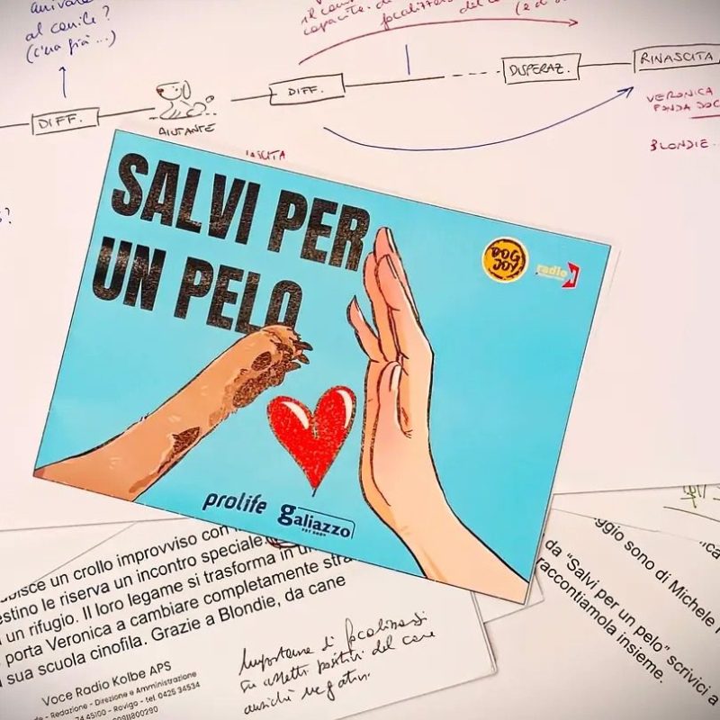 “Salvi per un pelo”: come un amico a quattro zampe può cambiare la&nbsp;vita